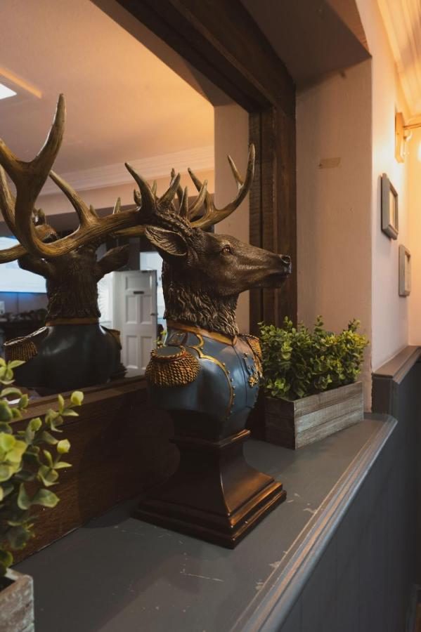 The Stag Hotel And Mailmans Arms 린드허스트 외부 사진