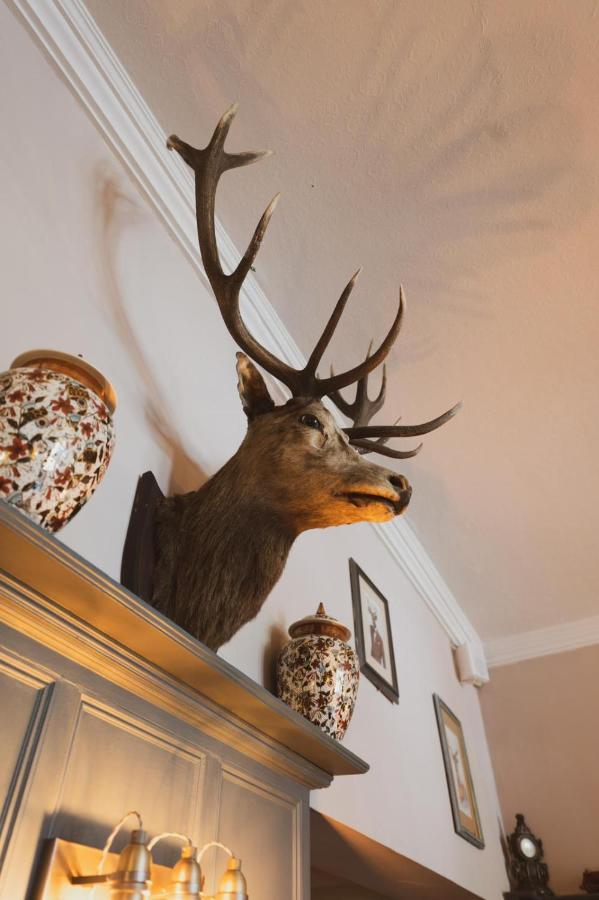 The Stag Hotel And Mailmans Arms 린드허스트 외부 사진